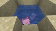 Axolotls were introduced in the Caves & Cliffs update (Image via Mojang)